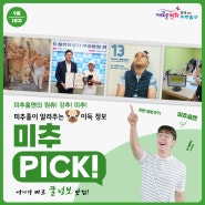 이번 주 미추홀에는 어떤 소식이? [미추PICK! 9월 1주차]