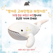 별까루 고래인형과 체험키트 재입고 예정