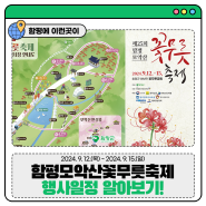 [함평 가을 축제] 붉은 꽃잎들의 향연! 모악산꽃무릇축제 행사일정 알아보기!