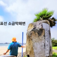 제주도 표선 가볼만한곳 돌싱포맨 방송 나온 제주 숨은명소 소금막해변