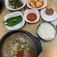 봉이랑 3번째 제주(우진해장국, 제주찐맛집추천, 용마마을 비행기샷)