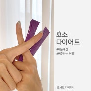 효소다이어트 후기 내돈내산 비추하는 이유