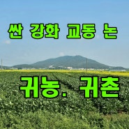 귀촌토지 강화도 교동 싼 농지 대출 맞출수 있는 강화부동산