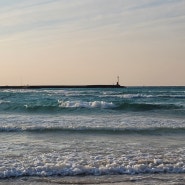 [일상포토덤프] 또 제주도 가고 싶다 🌊