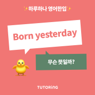 'born yesterday' 무슨 뜻일까? (~라고 여기다/ 영어표현 / 영어단어 / 영어회화 / 영어신조어 / 슬랭 / 영어공부)