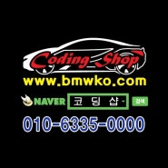 [BMW 벤츠 아우디 폭스바겐 미니] 코딩 견적 문의 & 예약