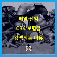 폐암 선암 C34 보험금 감액되는 이유