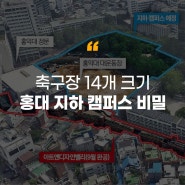 [에듀플러스]역대급 리모델링, 홍익대학교 근황