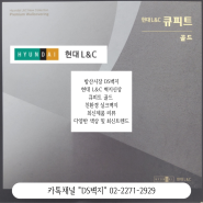 방산시장 도배 벽지 DS벽지에서 2024년 현대L&C"큐피트 골드"(Q'pid)신제품 리뷰입니다:)