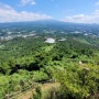 <제주도> 국내 9월 가볼만한곳 추석 여행지 추천 가을명소-군산오름