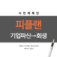 피플랜(P-plan) 사전회생계획안, 기업파산에서 회생절차로 전환시켜 성공