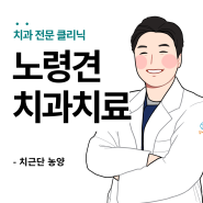 대구 24시 노령견 치과 전문 동물병원 : 노령견 치근당 농양 치료는 어떻게??