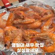 포항 영일대 새우 맛집 싱싱왕새우 생새우 전문 술집 추천