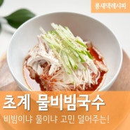 초계물비빔국수 :: 비빔 vs 물 고민 덜어주는 물비빔국수 닭가슴살 초계국수