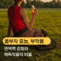 콤부차 효능과 부작용, 면역력 강화와 해독 작용의 비밀