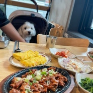 애견동반 제주생선구이 공항 인근 로컬 맛집 영춘식당 추천