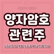 양자컴퓨터 관련주 양자암호 대장주식