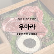 광화문 한식 맛집 점심 가성비 경복궁역 소고기 회식 룸식당 우아라