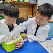 마산과학학원/마산수학학원) 와이즈만 영재교육 마산센터 초1 실험과학