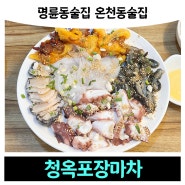 명륜동술집 온천동술집 노상포차 '청옥포장마차'