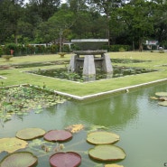 말레이시아 페낭 섬(Penang Island) 페낭 식물원 보타니컬 가든(Botanical Gardens) 바투 페링기(Batu Ferringhi) 해변 여행후기