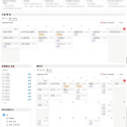 노션으로 업무 관리 대시보드 만들기 : 카리스러브 이유미님의 일잘러 노션 사용법