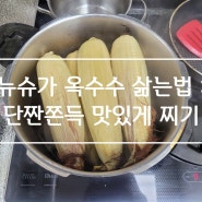 압력솥 옥수수 삶는법 : 단짠쫀득 맛있게 뉴슈가 옥수수 삶기 삶는시간