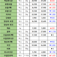 09월 07일 토 배송판매 시세 - 부산반여농산물도매시장 식자재유통업체(야채온on)