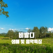 [플룻(플루트) 교실] 비발디의 생애 및 음악특징에 대해 알아 보아요(1교실)