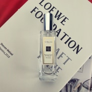 JOMALONE 향 종류&추천 향수