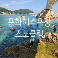 동해 삼척스노쿨링 용화해수욕장 개장&폐장