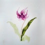 Botanical Art 10. 엘레지 (진행중)