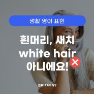 흰머리, 새치 영어로? + 꽃중년까지 | 영국영어 브릿센트