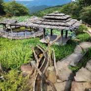 수선사 시절인연 산청가볼만한곳 모든곳이 포토죤 강추,,,