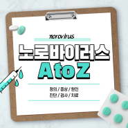 노로바이러스 A to Z 【#증상 #초기증상 #전염 #원인 #치료 #약 #예방법 #격리 #시기 #장염 #진단 #아기 #회 #식사 #가리비 #수액】