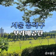 아이와 놀기 좋은 서울 동작구 보라매공원 / 주차장, 바닥분수, 풍경 놀이터, 편의점 총정리