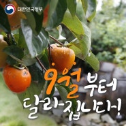 지금 **동에서 사람이 죽었어요