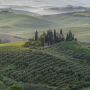 이탈리아 Italy 여행 토스카나 Toscana 발도르차 Val d'Orcia 사이프러스 나무