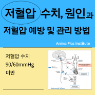 저혈압 수치 및 원인_증상과 유형_저혈압의 위험 수치 수준분류_예방 및 관리 방법_기립성 저혈압_아니마 플로스 인스티튜트 Anima Flos Institute