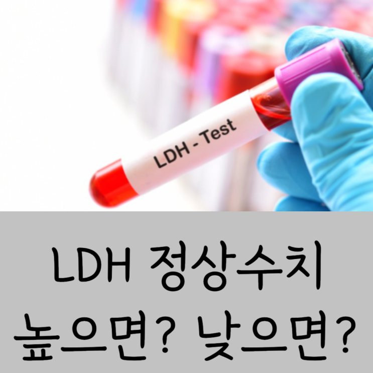 LDH 수치 높으면 낮으면 성인 임산부 아기 까지 쉽게 이것 꼭 확인해야 : 네이버 블로그