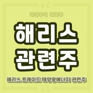 해리스 관련주 태양광 대장주식