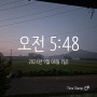 9월 8일--새벽 기상 1459일, 미라클 모닝, 아침 산책, 독서, 감사 일지, 매일 하는 것이 나를 만든다, 꾸준함이 힘이다.