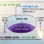 남자 보잉 선글라스 도수 제작 가공 DOX D7016 + 니콘 BLUV PLUS 기능성 렌즈