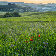 이탈리아 Italy 여행 토스카나 Toscana 발도르차 초원의 아침