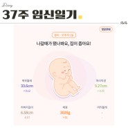 37주 임신일기 가족들과 함께하는 육아휴직 시작, 본격 출산 준비, 벚꽃 구경