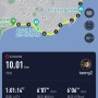 부산 러닝 코스 추천, 해운대 블루라인파크 미포 정거장에서 송정 해수욕장까지, 10km 해안가 바다런