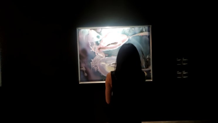 리움미술관 아니카 이 개인전 보고왔어요. (ft.리움멤버십, 주차) : 네이버 블로그 리움미술관 아니카 이 개인전 보고왔어요. (Ft.리움멤버십, 주차) : 네이버 블로그