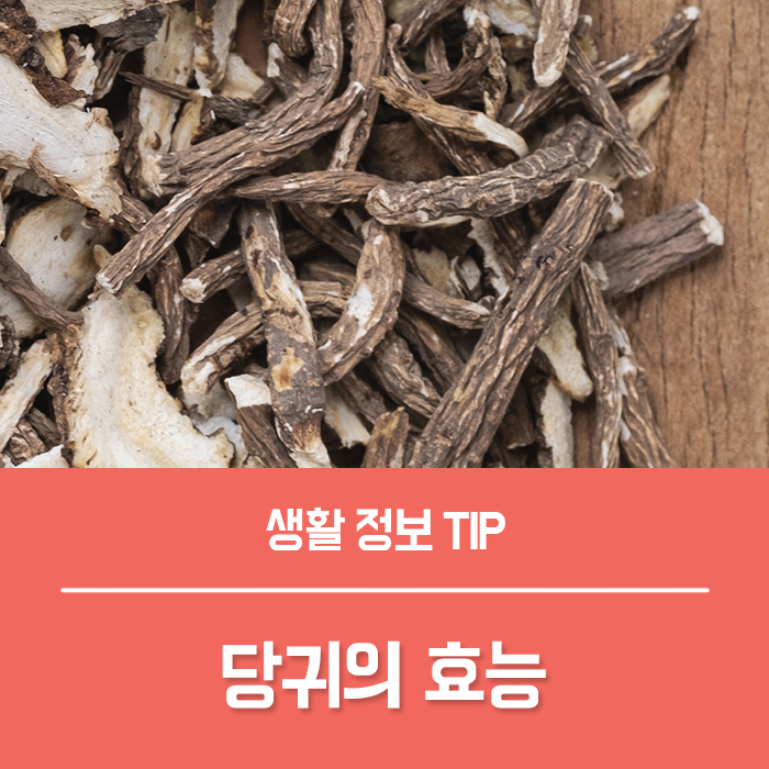당귀의 효능 부작용, 당귀차 당귀잎 효능 총정리! : 네이버 블로그