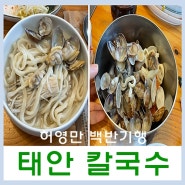 [태안 맛집] 백반기행편 - 바지락칼국수 대성식관