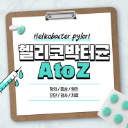 헬리코박터균 A to Z 【#약 #원인 #증상 #치료 #전염 #조직검사 #제균 #양성 #통증 #속쓰림 #완치 #예방 #방치 #치료안하면 #제거】